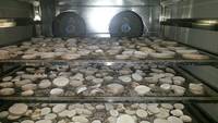 KINKAI Lage Prijs Hoge Efficiëntie Commerciële Dehydrator Fruit- en Groentedroger Cassavetroger Paarse Yam Droogapparatuur