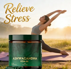 Cápsulas <span class=keywords><strong>de</strong></span> Ashwagandha KSM-66 OEM/ODM, Extracto <span class=keywords><strong>de</strong></span> Raíz en Polvo Puro y Orgánico, Suplemento Ayurvédico - Product Image 3