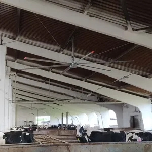 3m 5m 7.3m 120rpm 80rpm 55rpm large size farms use ceiling mounted industrial fans for animal husbandry