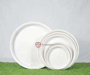 Petites soucoupes rondes pour pots de plantes hydroponiques, décoration intérieure/extérieure, plateau à fleurs pour la décoration de magasins, décoration de pièces, plante vivante - Product Image 1
