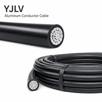 Câble de câblage automobile Xinyuhua YJV à conducteurs en cuivre nu, basse tension, IP44, 1*0,75 mm, tension nominale 25-300V