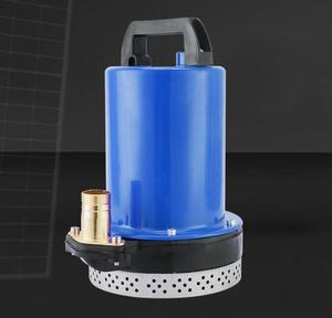 Bomba de Agua Sumergible Mini de CC de 12V 24V 48V para Riego, Agricultura e Industria Automotriz, Baja Presión, OEM, China - Product Image 5