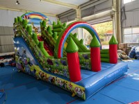 Toboggan Gonflable Double Commercial Arc-en-ciel Écologique 0,55 mm en PVC pour Extérieur, Toboggan Rebondissant pour Parc d'Attractions et Location de Fêtes Foraines