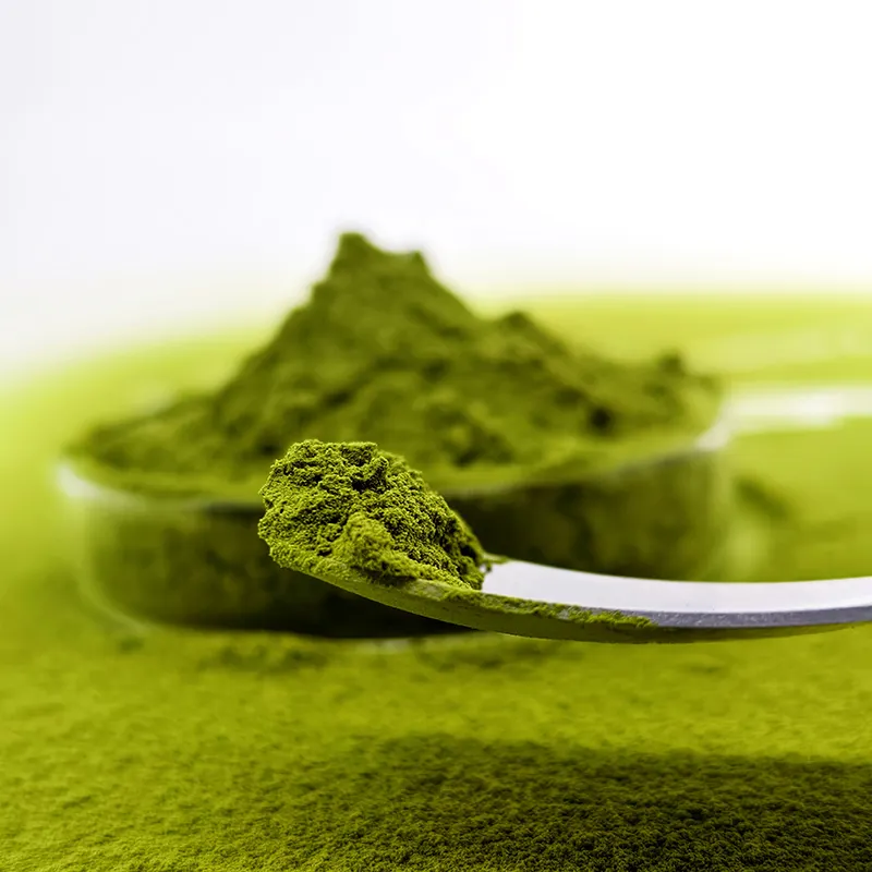 RICI Ceremonial matcha tea powder/ organic nature Green Tea / Matcha Powder Best Price For Sale