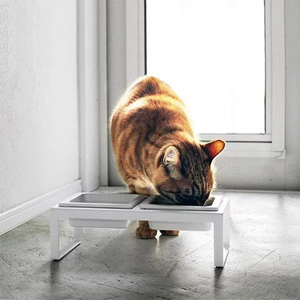 <span class=keywords><strong>Support</strong></span> plat personnalisé <span class=keywords><strong>pour</strong></span> la maison <span class=keywords><strong>pour</strong></span> aliments <span class=keywords><strong>pour</strong></span> chiens Bol d'alimentation en eau surélevé <span class=keywords><strong>pour</strong></span> produits <span class=keywords><strong>pour</strong></span> animaux de compagnie <span class=keywords><strong>Support</strong></span> métallique amovible Bol de stockage des aliments <span class=keywords><strong>pour</strong></span> chats en céramique - Product Image 4