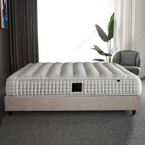 Sang Trọng Khỏe Mạnh Mật Độ Cao Gel Bộ Nhớ Bọt Túi Mùa Xuân Mềm Nệm Nữ Hoàng Có Kích Thước Nệm - Product Image 3