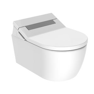 Inodoros económicos al por mayor Inodoro Artículos sanitarios <span class=keywords><strong>Wc</strong></span> Baño Asiento de inodoro inteligente Juego de inodoro de cerámica de dos piezas - Product Image 6