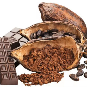 مسحوق كاكاو عضوي خالي من GMOs ذو قاعدة الخام الأفضل مبيعًا لخبز الخبز - Product Image 1