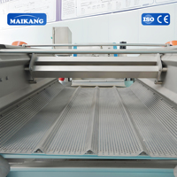 Fruit- en groenteborstelrolreinigingsmachine voor het wassen en schillen van aardappel, gember en wortel