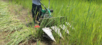 Machine agricole pour l'élimination des arches