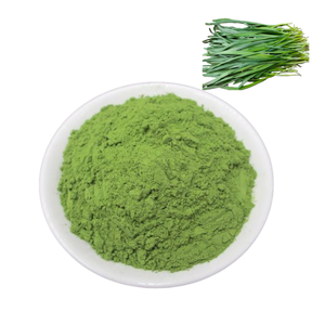 Vente en gros de poudre de ciboulette chinoise, poudre d'<span class=keywords><strong>Allium</strong></span> <span class=keywords><strong>tuberosum</strong></span>, poudre de poireau naturelle - Product Image 1