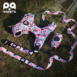 2025 Set <span class=keywords><strong>Harness</strong></span> anjing warna-warni khusus dengan fitur terpisah Logo khusus terbuat dari poliester tahan lama dan nilon - Product Image 3