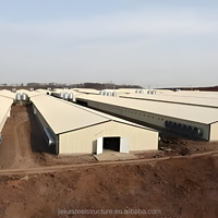 Estructura de Acero Galvanizado Prefabricada para Gallinero, Moderna Carcasa Metálica para Aves de Corral, Construcción de Naves Avícolas de Larga Duración