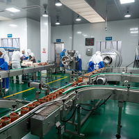 Ligne de production de pâte de poulet entièrement automatique, machines de transformation alimentaire industrielles, capacité de 50 à 4500 kg par heure