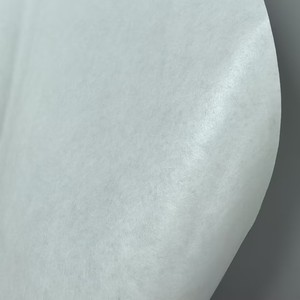 Tela No Tejida de Poliéster 60g 100g, Sustrato para Membrana de Filtro de Líquidos RO, Apertura de 0.2um - Product Image 1