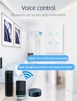 ESP32 Smart US/Australie 2 Gang Wifi Touch Wall Light Commutateurs à distance avec fil neutre Alexa Google Home Voice Control