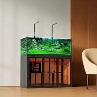 Aquarium en verre style industriel à vue ouverte avec filtre à débordement latéral, pompe de filtration et faible entretien pour rivière ou ruisseau