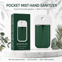 Désinfectant pour les mains OEM, écologique, ingrédient actif, saveur fruitée, bonne odeur, vaporisateur format carte de crédit, spray pour les mains