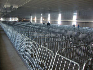 ฟาร์มสัตว์ปีกสำเร็จรูป โรงเรือนเลี้ยง<span class=keywords><strong>ไก่</strong></span> เป็ด สุกร วัว สัตว์ปีก โรงเรือนเลี้ยงสุกรแบบกำหนดเอง ออกแบบอาคารฟาร์ม โรงเรือนเลี้ยงแม่สุกร โรงเรือนเลี้ยงม้า โรงเรือนเลี้ยงสัตว์ - Product Image 5