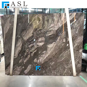 Lastra di Marmo Naturale Marrone Veneziano Lucidato per Pareti, Pavimenti, Piani di Lavoro, Decorazione d'Interni per Hotel e Ville - Product Image 2