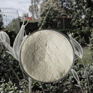 Poudre d'extrait de Yam sauvage 100% pure et naturelle 10:1 20:1, vitamine active, herbe soluble dans l'eau, emballée sous vide en fût - Product Image 3