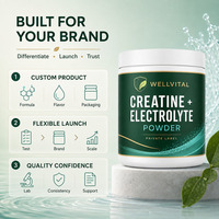 Fournisseur de Marque Privée : Poudre de Créatine et d'Électrolytes Naturellement Aromatisée pour l'Entraînement d'Endurance