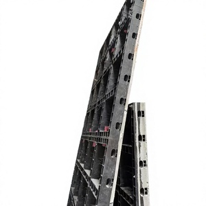 Encofrado de Plástico ABS Tecon de Larga Duración MAUP, Reutilizable 80-100 veces para Paredes, con Certificados - Product Image 1