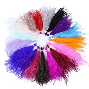 10-15 cm yüksek kalite boyalı DIY Plumes renkli devekuşu tüy saç ipek giysi süslemeleri karnaval için paket