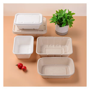 Fiambrera de bagazo de caña de azúcar, máquina para hacer fiambrera de papel, para llevar - Product Image 6