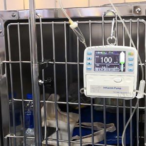 เครื่องปั๊มให้สารละลายสำหรับสัตว์เลี้ยงสุนัขแมวทางการแพทย์หน่วยปั๊มให้ LHWEB12V สำหรับสัตวแพทย์ - Product Image 2