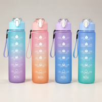 Gourde de sport d'été 750 ml grande capacité, couleur dégradée, avec paille, portable, en plastique, anti-fuite, incassable, design moderne