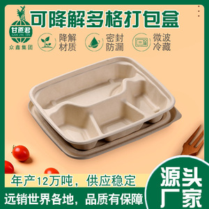 Boîte à bento en pulpe de canne à sucre 222x192mm, 4 compartiments, conteneur alimentaire jetable, forme rectangulaire, biodégradable - Product Image 2