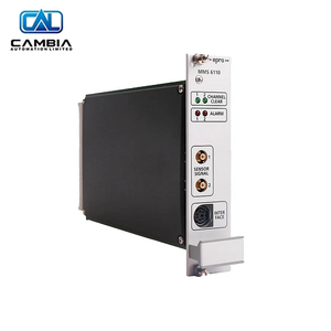 Productos industriales MMS6110 <span class=keywords><strong>Monitor</strong></span> de vibración de rotor relativo - Product Image 5