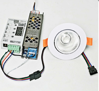 Projecteur LED 10W/15W 24V DMX512 adressable RGB/RGBW pour effet de lumière murale dynamique/coulante