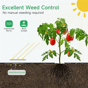 En kaliteli Anti-UV malç filmi çılgın fiyat zemin kapak kontrol ayıklayacaktır plastik PP PE malzeme dokuma UV çim geçirmez Mat - Product Image 5