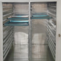 Automatische Voedseldroger 3kW 240V Schaaldehydrator 304SS voor het drogen van mango, banaan, appel, cassave, vis en kokosnoot