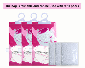 Sachets <span class=keywords><strong>d</strong></span>éshumidificateurs réutilisables <span class=keywords><strong>pour</strong></span> la maison, anti-moisissure, <span class=keywords><strong>pour</strong></span> armoire et placard, absorbeurs <span class=keywords><strong>d</strong></span>'<span class=keywords><strong>humidité</strong></span> - Product Image 3