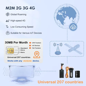 Sinotrack trên toàn thế giới chuyển vùng GSM GPRS LTE dữ liệu thẻ Sim không có phí hàng tháng cho 2G 3G 4G GPS Tracker Thiết bị theo dõi nền tảng - Product Image 3