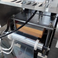 Machine d'emballage sous blister entièrement automatique, électrique, de haute précision, pour petits liquides, avec membrane respirante pour produits chimiques