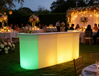 Bancone Bar Portatile Illuminato a LED Moderno per Casa, Palestra, Caffetteria, Ristorante, Discoteca, Feste ed Eventi - Arredamento a Noleggio