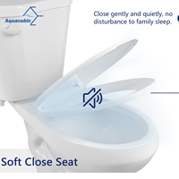 Toilette moderne blanche standard à deux pièces avec siège de toilette à fermeture amortie