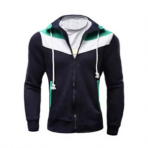Wholesale <b>Hoodies</b> Cotton Custom Logo Heavy Weight Thick <b>Plain</b> <b>Hoodies</b> for Men Men Clothing <b>Hoodies</b> by Elegant Sports - Product Image 1