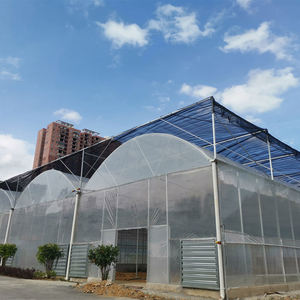 Goedkope Tomaat Multi- Span Multi-Tunnels Agrarische Groenhuis Metalen Landbouwkas - Product Image 3