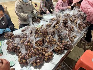 Castagne Fresche di Alta Qualità in Offerta, Ricche di Proteine e Fibre, Ideali per Snack e Cucina - Product Image 6
