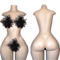 Vente chaude prix le plus bas danse du ventre Performance porter nouveautés Stripper porter