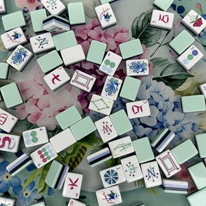Ensemble de Mahjong de luxe bleu clair à 4 couches comprenant un sac de Mahjong, un support de Mahjong, un tapis de Mahjong, une règle de Mahjong, etc. Accessoires de Mahjong - Product Image 4
