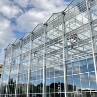 Serre commerciale moderne multi-travées en polycarbonate/verre avec structure métallique pour culture hydroponique, design Venlo, taille personnalisable