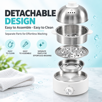 Cuiseur à œufs électrique multifonctionnel à usage domestique, double niveau, en acier inoxydable 304, avec minuterie, personnalisable OEM