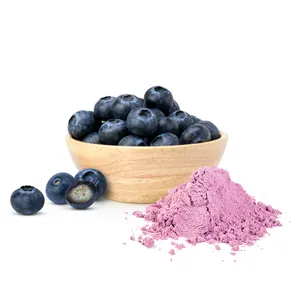 Natural 100% Pure Dried Wild Bulk Organic Blueberry Extract Powder