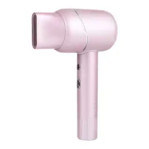 Best Professional Travel Blow Dryer Wholesale Mini Ionic Ac Motor Air Blower Cheap 2 Speed Hotel Electric Hair Dryer For Salon